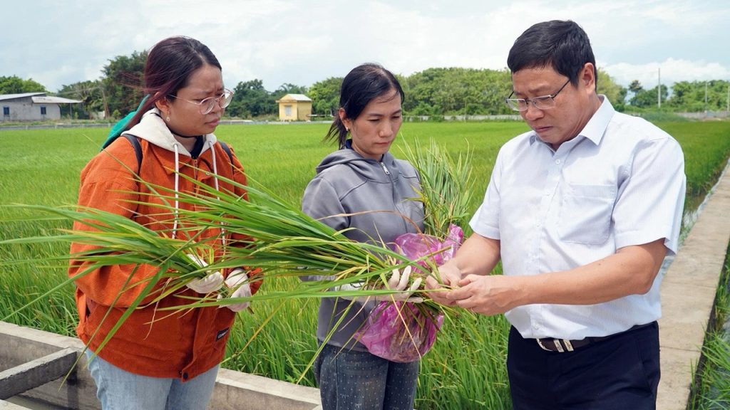 tien-si-tran-ngoc-thach Large