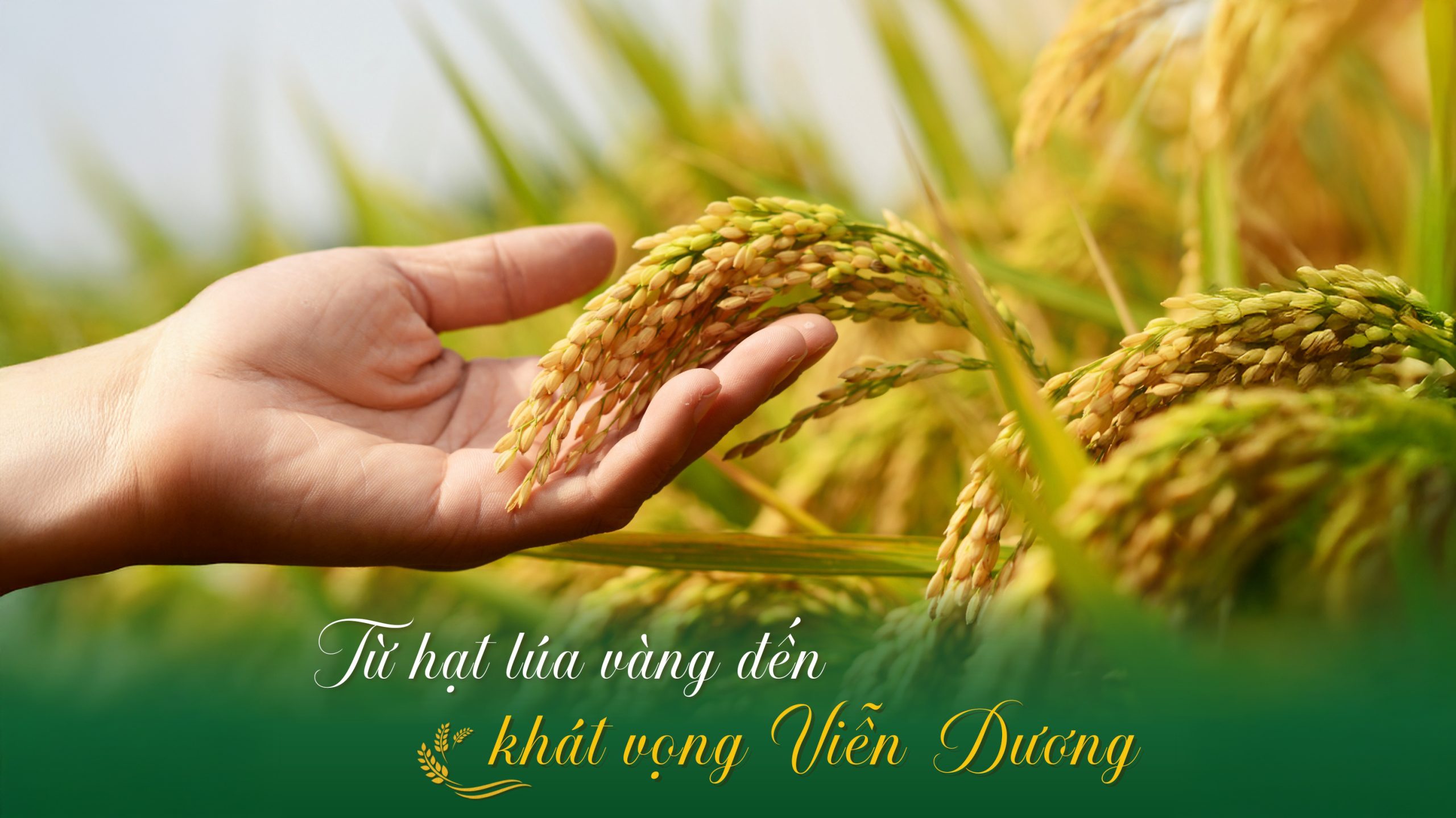 570399106_122099062425082180_8076126468497674760_n