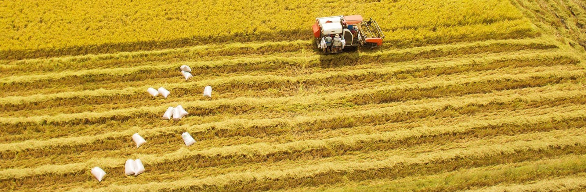 db-song-cuu-long-1672207737